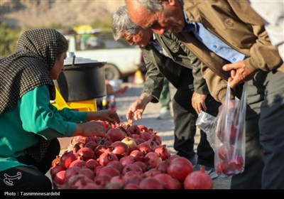 برگزاری دومین جشنواره انار نمهیل خلخال با استقبال پرشور