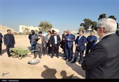 بازدید معاون میراث فرهنگی از آثار تاریخی و ظرفیت‌های گردشگری ری