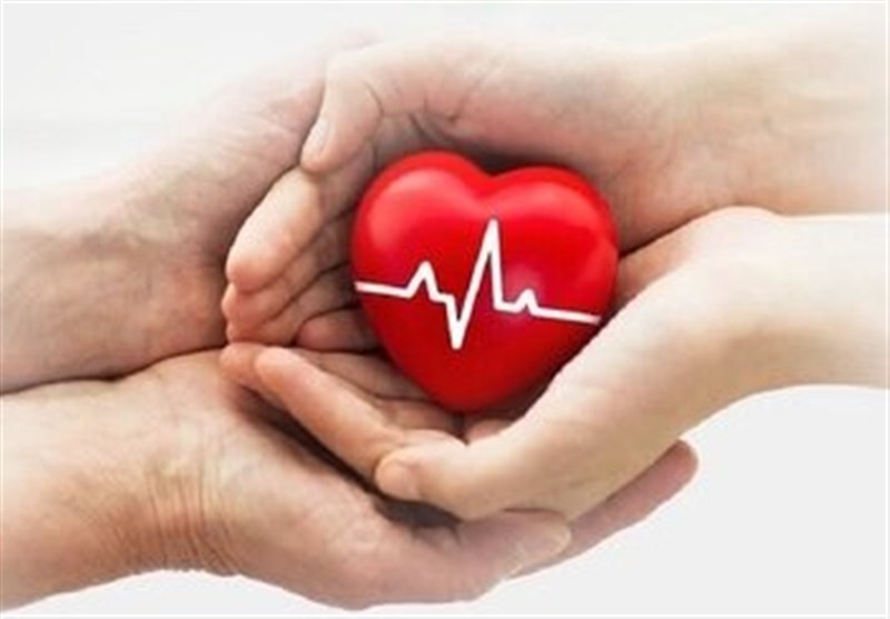 روایتی از گام بلند کیش برای اجرای طرح «سلام»