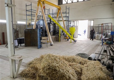 بایوچار مصرف آب کشاورزی را تا 30 درصد کاهش می‌دهد