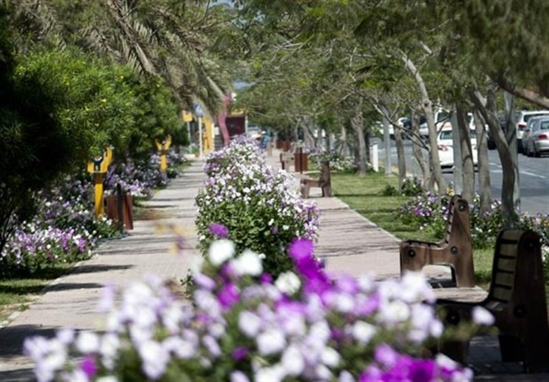 قشم و درگهان در قاب زیبای پیوند آب و گل