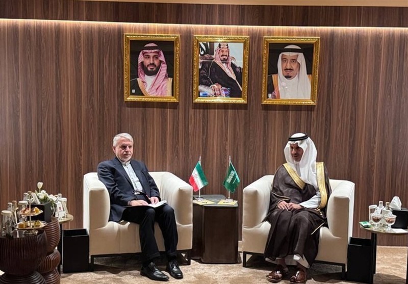 صالحی‌امیری: همکاری‌های فرهنگی ایران و عربستان می‌تواند الگوی وحدت‌اسلامی باشد