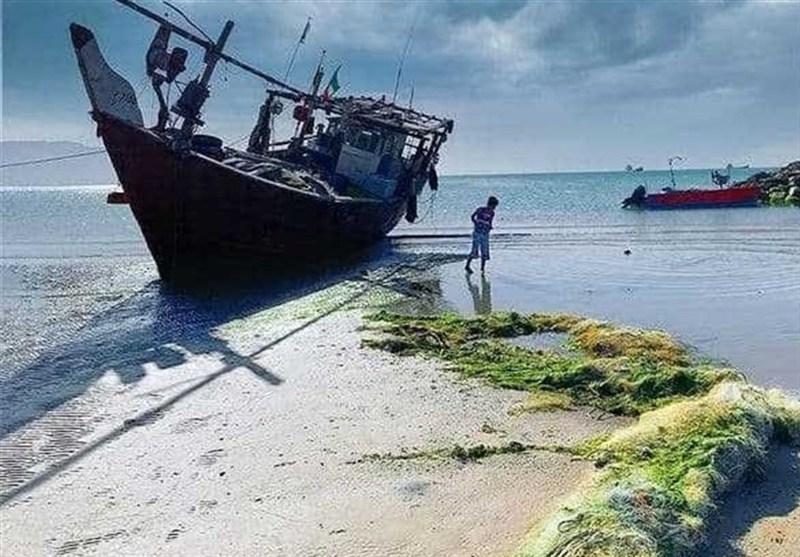 آرامش جوی و دریایی در استان بوشهر