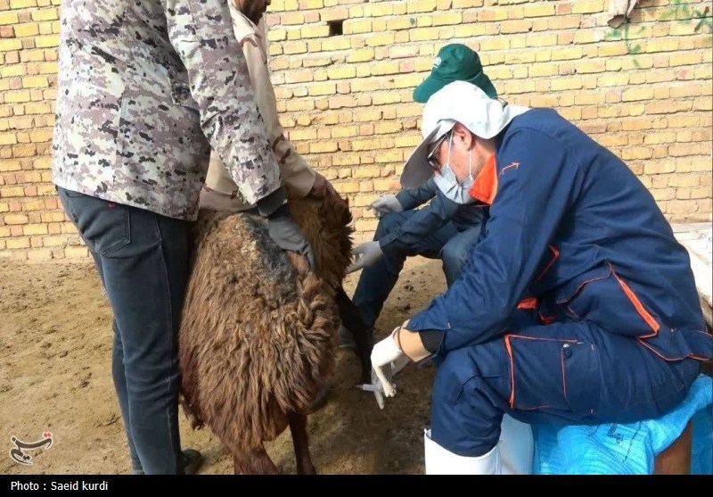 اخبار استان کردستان , اخبار بیجار ,