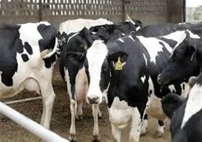 ریشه‌های بروز تب‌برفکی/ لزوم تشکیل ستاد ویژه بحران