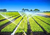 تجهیز 6747 هکتار از اراضی کشاورزی مشگین شهر به آبیاری نوین