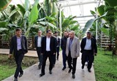 گام‌های رو‌به‌جلوی آذربایجان‌ شرقی در مسیر تولید زنجیره ارزش با کشاورزی نوین