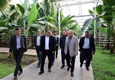 گام‌های رو‌به‌جلوی آذربایجان‌ شرقی در مسیر تولید زنجیره ارزش با کشاورزی نوین