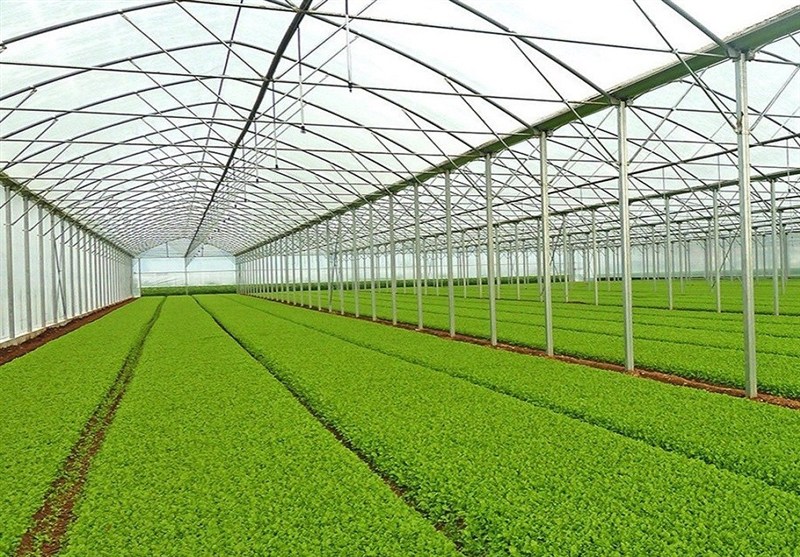 کشاورزی , آذربایجان شرقی , اخبار استان آذربایجان شرقی , اخبار تبریز ,