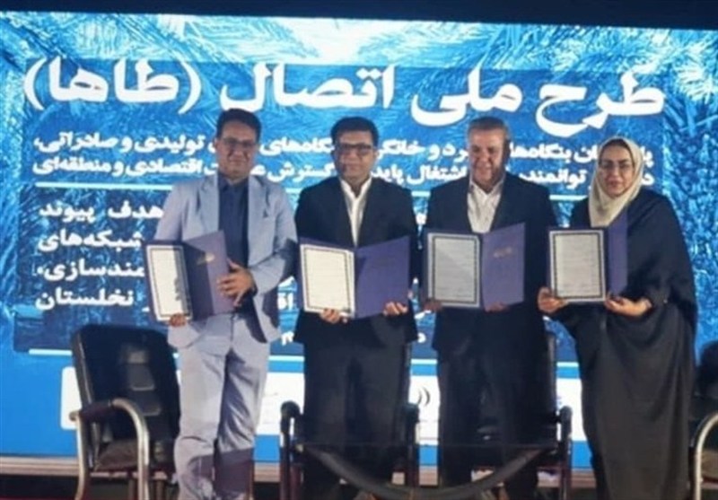 اتصال بنگاههای کوچک خرما به زنجیره ارزش صادراتی در بوشهر کلید خورد