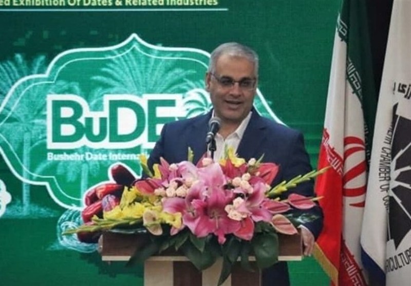 معاون وزیر تعاون: بوشهر پایلوت تحول ساختاری نخیلات کشور تعیین می‌شود