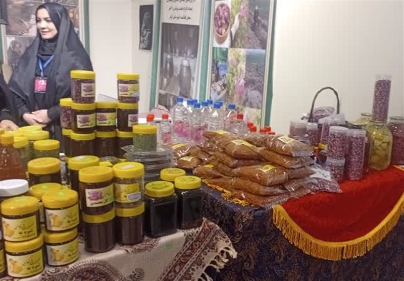 عضویت 128 کارآفرین اردبیلی در کانون کارآفرینان برتر کشور