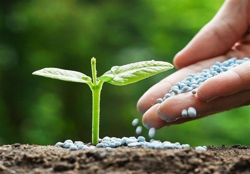 توزیع 4800 تن کود شیمیایی در البرز
