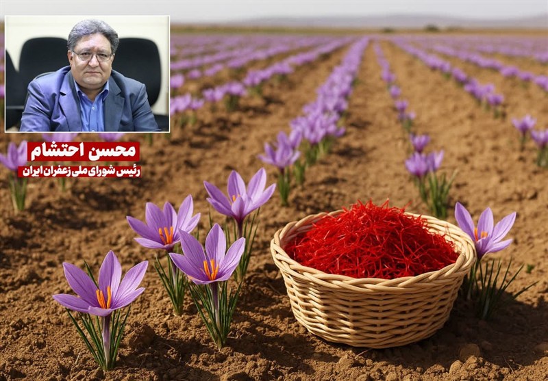 گفتوگو|نشان جغرافیایی زعفران قائنات اصالت و کیفیت منحصر بهفرد را تثبیت میکند