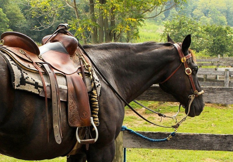 اخبار استان گلستان , میراث فرهنگی , گردشگری ,