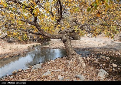 طبیعة الخریف فی وادی خان بأرومیة