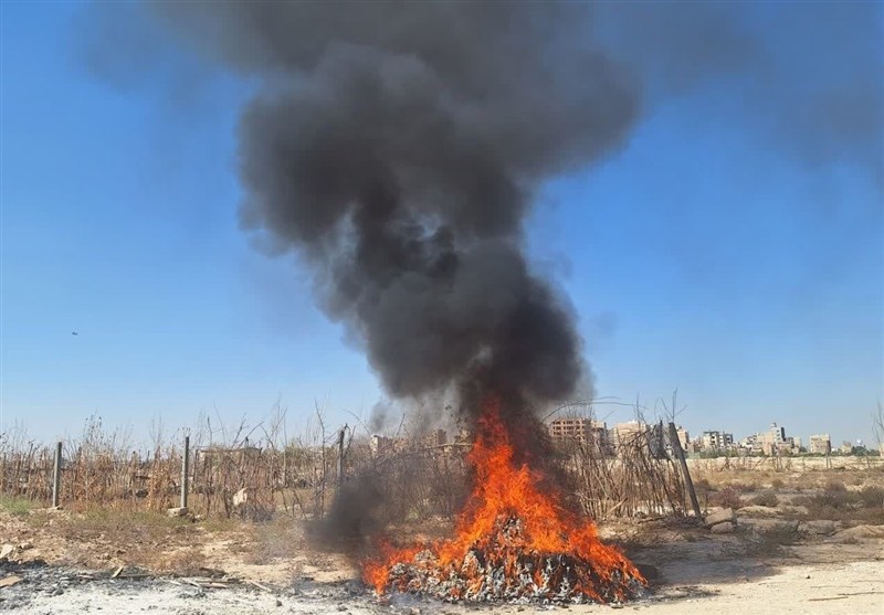 بهارستان زیر خاکستر پسماند‌سوزی؛ اداره محیط زیست فقط گزارش می‌نویسد