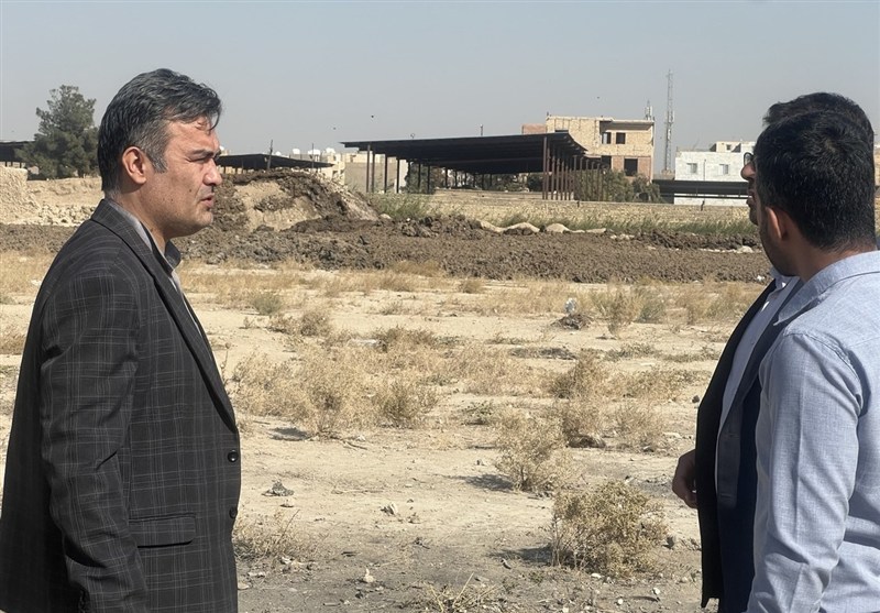 حمله مگس‌ها به روستای ریه؛ نتیجه فعالیت دامداری 4 هزار رأسی