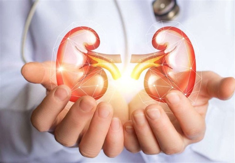 حمایت از 711 بیمار کلیوی در اردبیل