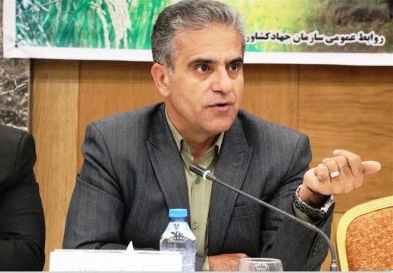 حمایت از کشاورزان با تامین کمباین و افزایش دوره بازپرداخت تسهیلات