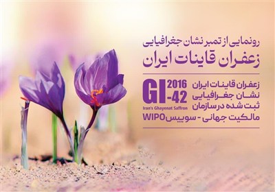 زعفران قائنات جهانی شد؛ اصالت ایرانی در سازمان مالکیت معنوی سوئیس ثبت شد