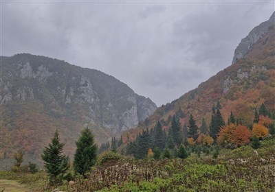 طراوت باران پاییزی در گیلان؛ نقش دوباره‌ی باران بر بوم سبز شمال