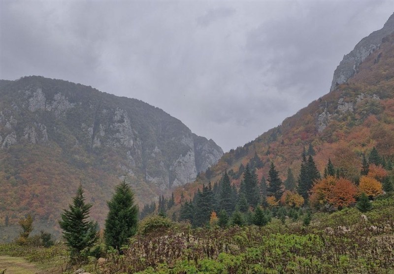 طراوت باران پاییزی در گیلان؛ نقش دوباره‌ی باران بر بوم سبز شمال