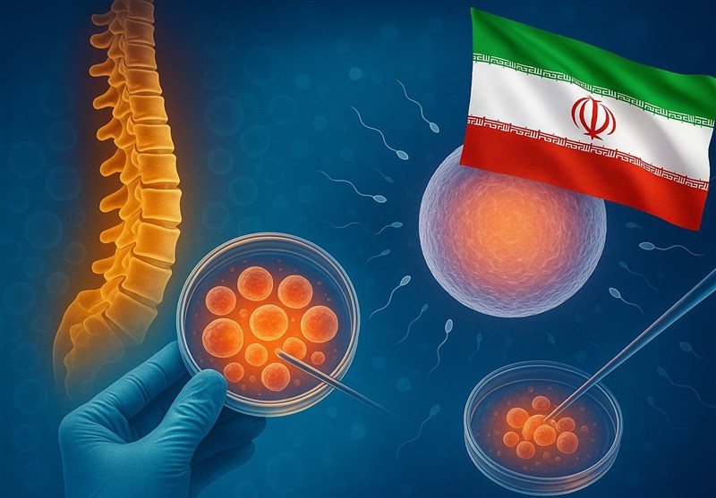 Прорыв Ирана в лечении повреждений спинного мозга и бесплодия с помощью клеточных технологий