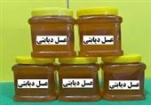 بیماران دیابتی بخوانند/ آیا مصرف &quot;عسل دیابتی&quot; سلامت بیمار را به خطر می‌اندازد؟