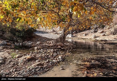 Осенняя природа Ирана - Урмия