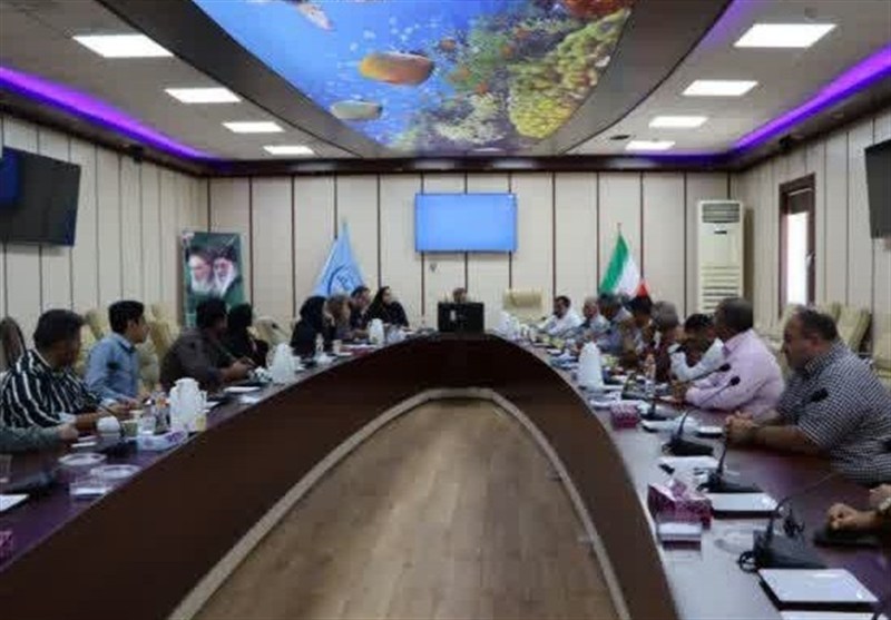 هم‌افزایی موفق شیلات و اتحادیه‌ها برای برداشت بهینه میگو در استان بوشهر