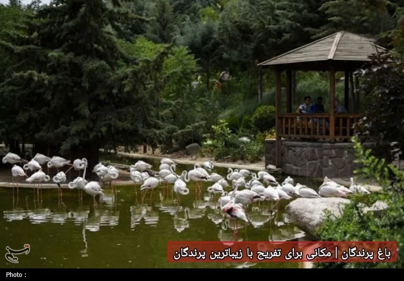 سازمان میراث فرهنگی، صنایع دستی و گردشگری , قم , اخبار استان قم , 