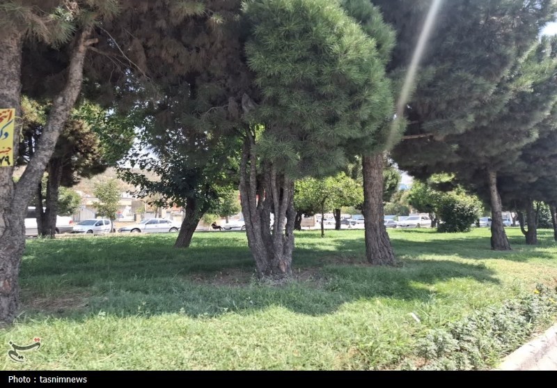 اخبار یاسوج , 