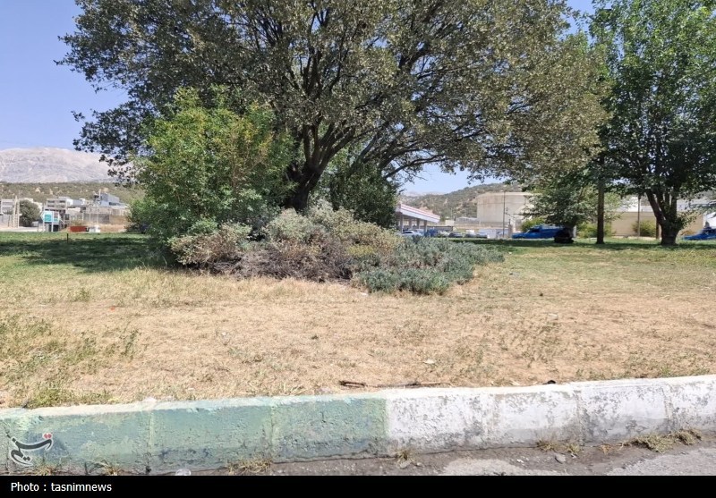 گزارشی از وضعیت نگران‌کننده فضای سبز در یاسوج؛ از خشکی تا رشد کنترل‌نشده+تصاویر