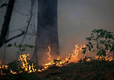 برای گیسوان آتش‌گرفته 