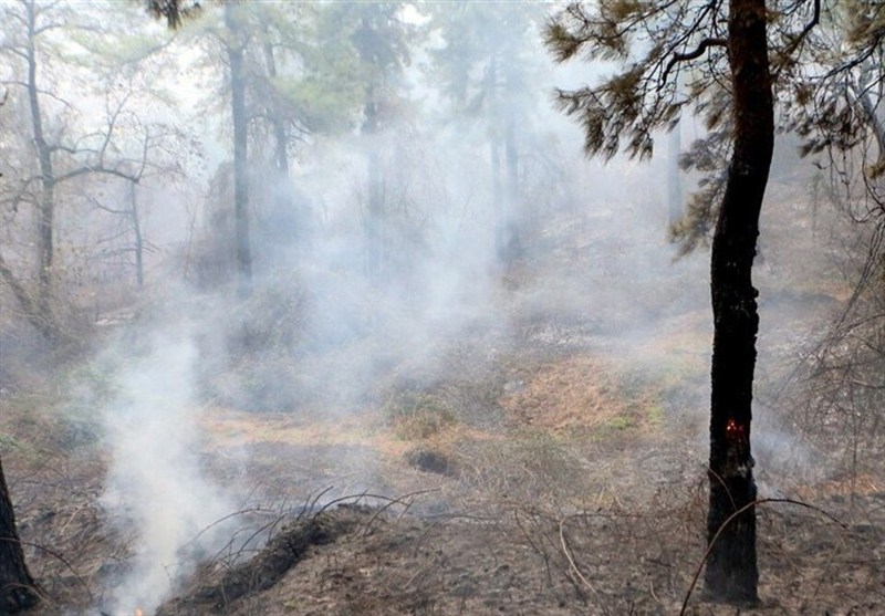 اخبار استان مازندران , اخبار چالوس , جنگل های هیرکانی , آتش سوزی جنگل ها و مراتع , مدیریت بحران , 