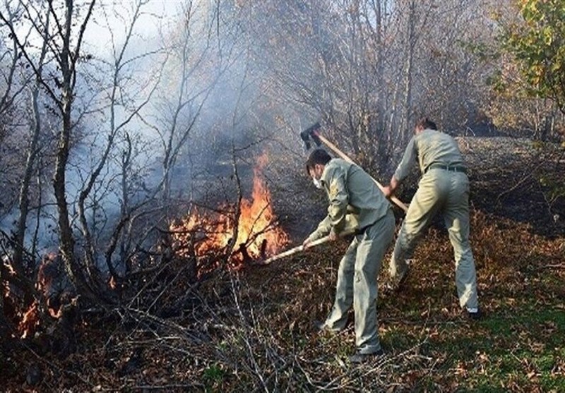 اخبار استان مازندران , اخبار چالوس , جنگل های هیرکانی , آتش سوزی جنگل ها و مراتع , مدیریت بحران , 