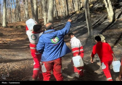 امداد در الیت