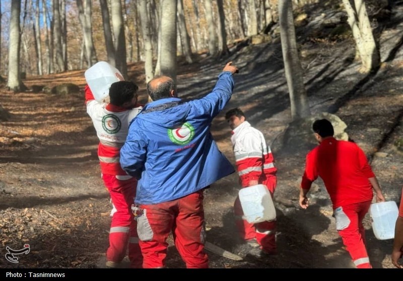 جوانه “پویش حفاظت از هیرکانی” از دل آتش/ زنگ خطر میراث میلیون ساله شمال ایران را دریابید!