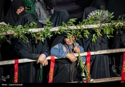 9 پهلوان گمنام روی دست مردم قزوین تشییع شدند