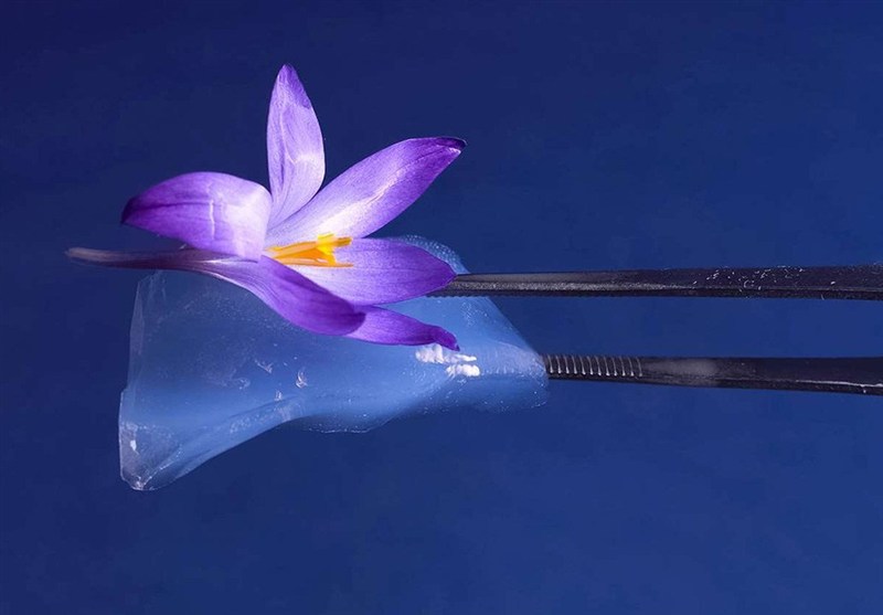 اثرگذاری فناوری نانو در بخش انرژی: 240 میلیون مترمکعب صرفه‌جویی گاز در سه سال