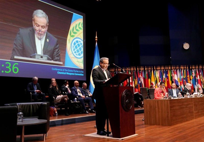 عراقچی: کنوانسیون منع تسلیحات شیمیایی باید به دور از سیاسی کاری به مسئولیت خود ادامه دهد