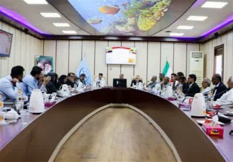 مقابله قاطع با صید آبزیان غیرمجاز در بوشهر/سهمیه سوخت متخلفان قطع می‌شود