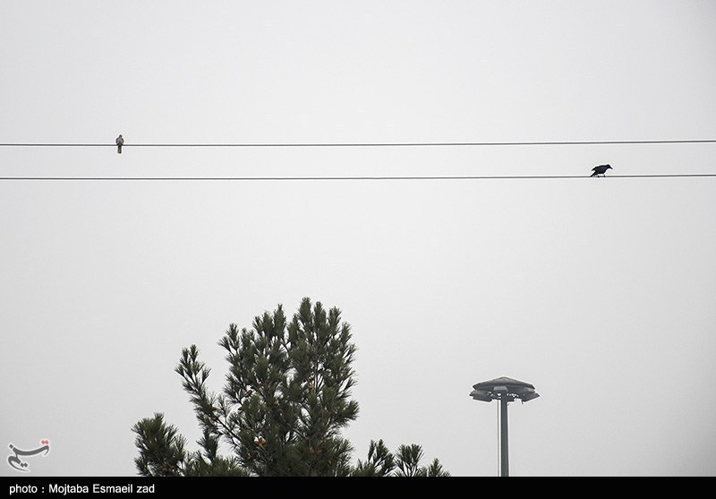 هوای قزوین سالم، آبیک ناسالم/محمدیه نامعلوم