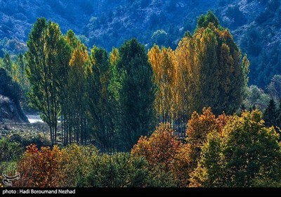 Осенняя природа Ирана – провинция Восточный Азербайджан