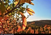 Осенняя природа Ирана – провинция Восточный Азербайджан