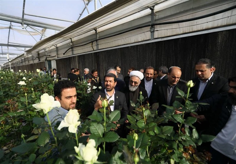 اخبار استان همدان , اخبار نهاوند , 