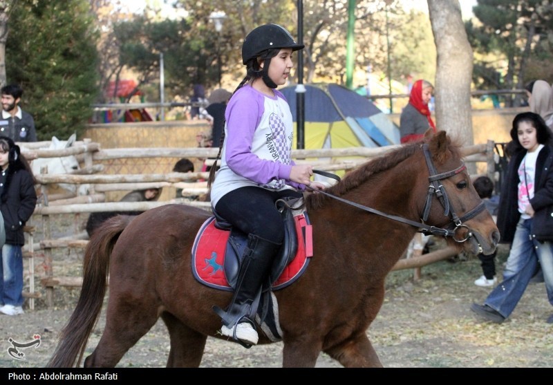 اخبار استان همدان , 