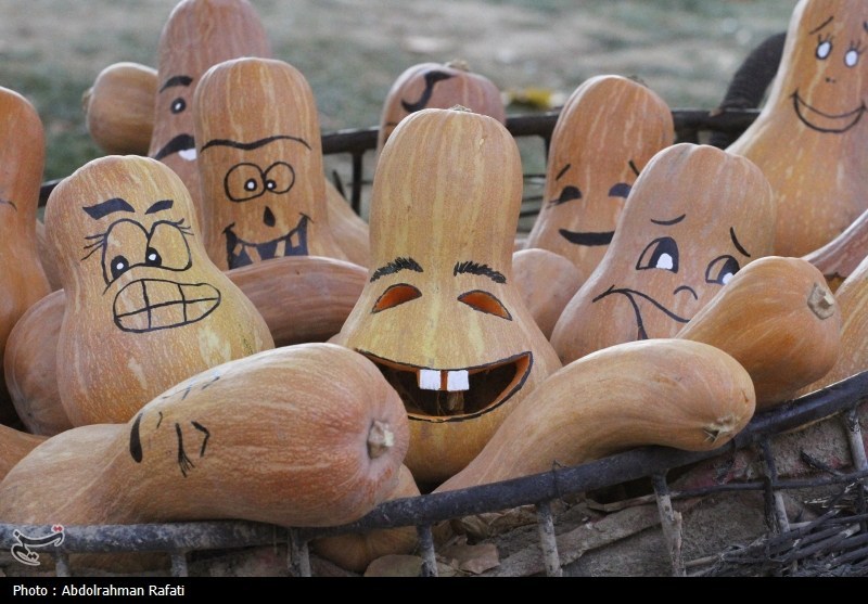 اخبار استان همدان , 