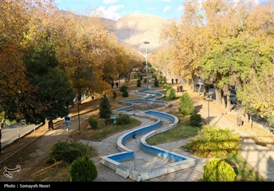 رقص رنگ‌ها در پاییز کرمانشاه